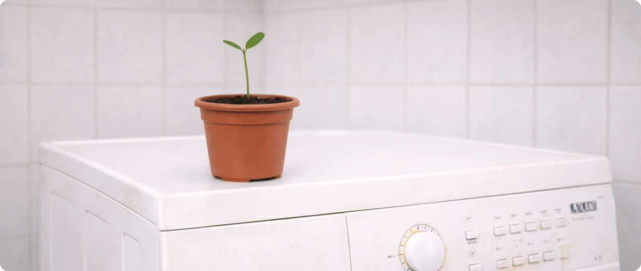 «Дельта Мастер» участвует в экологической инициативе